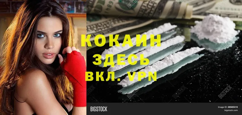 купить наркоту  Каргополь  OMG   Cocaine Колумбийский 